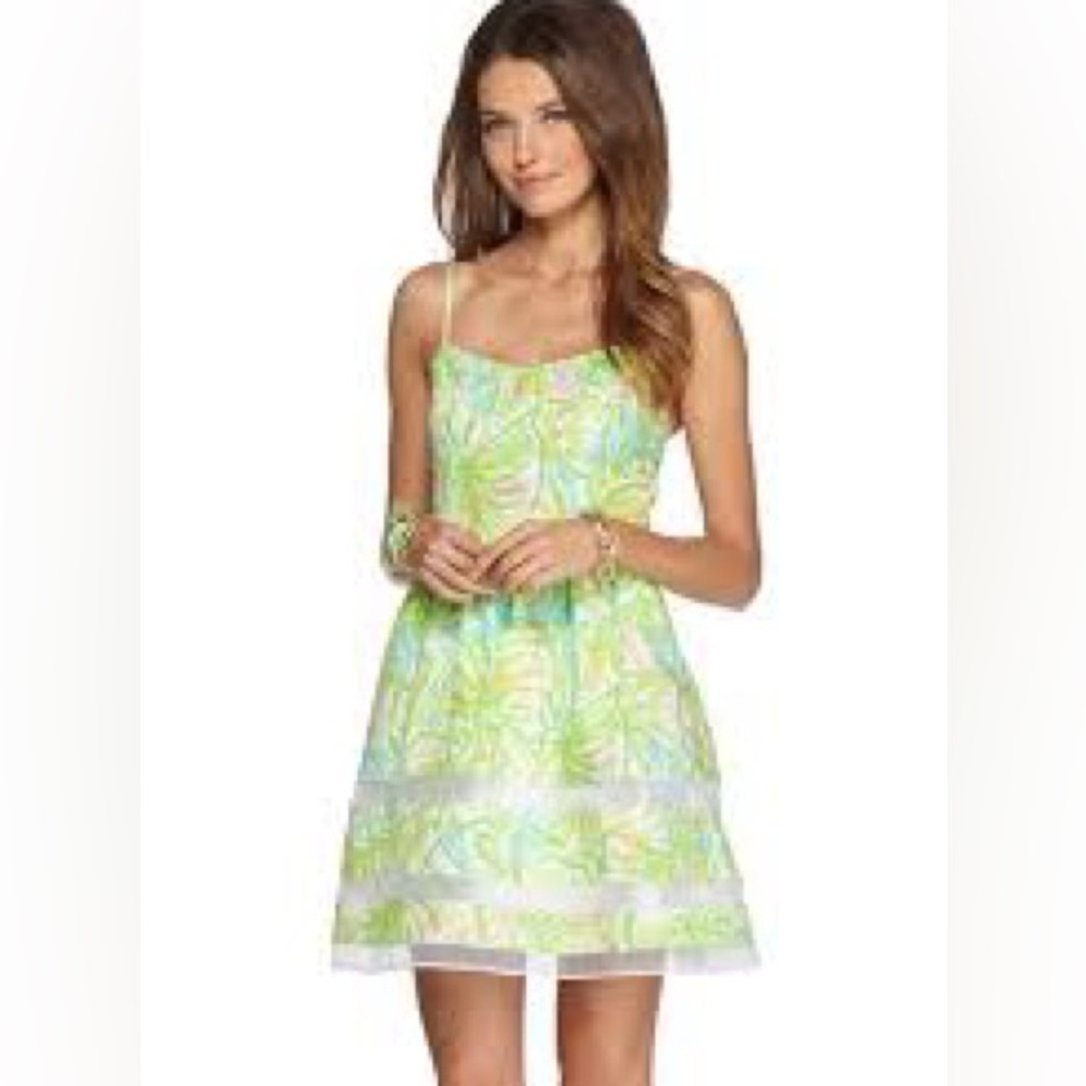 Lilly Pulitzer Ollie Fit and Flare Dress in Elephant Ears
